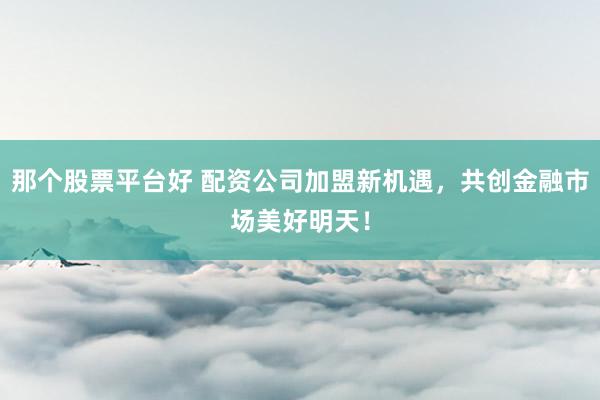 那个股票平台好 配资公司加盟新机遇，共创金融市场美好明天！