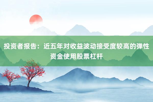 投资者报告：近五年对收益波动接受度较高的弹性资金使用股票杠杆
