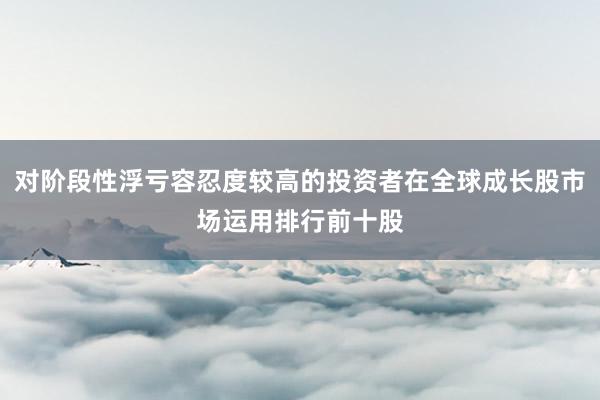 对阶段性浮亏容忍度较高的投资者在全球成长股市场运用排行前十股