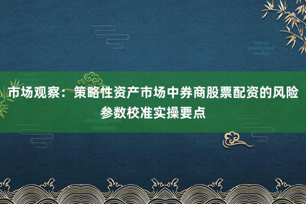市场观察：策略性资产市场中券商股票配资的风险参数校准实操要点