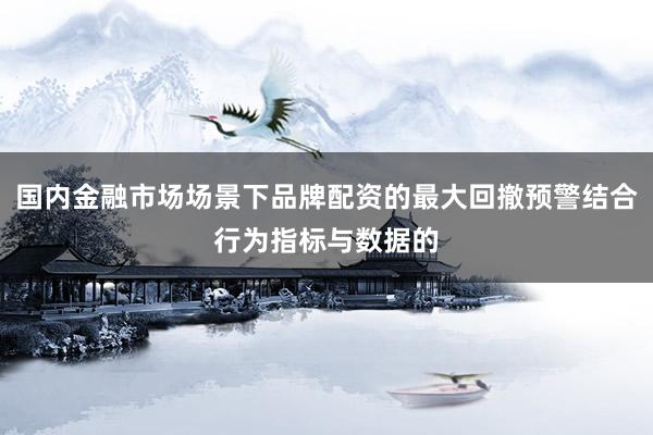 国内金融市场场景下品牌配资的最大回撤预警结合行为指标与数据的