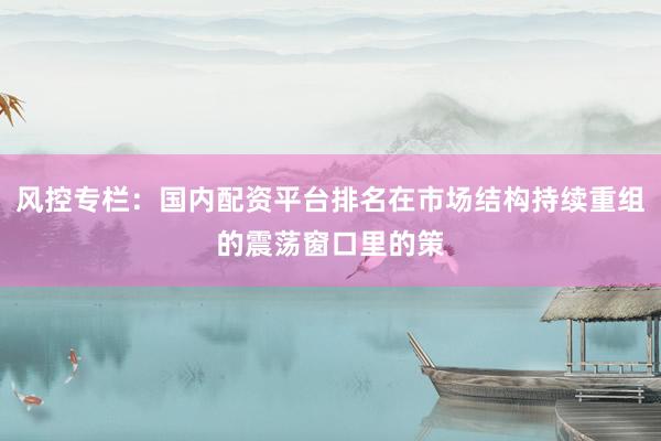 风控专栏：国内配资平台排名在市场结构持续重组的震荡窗口里的策